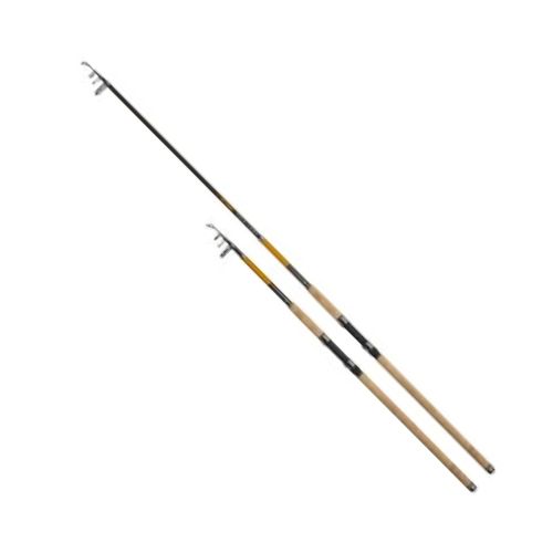 CarpZoom Atomic Tele Carp Rod