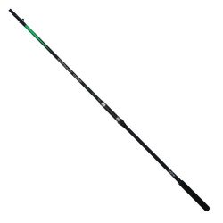 CarpZoom Entrant Carp EC2 12'/3.00lb