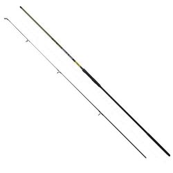 CarpZoom Action Carp