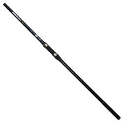CarpZoom Tempo Carp TC2 13'/3,50lb