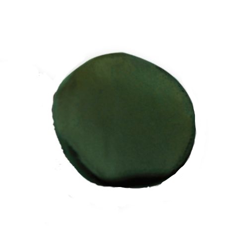 CarpZoom Tungsten Putty